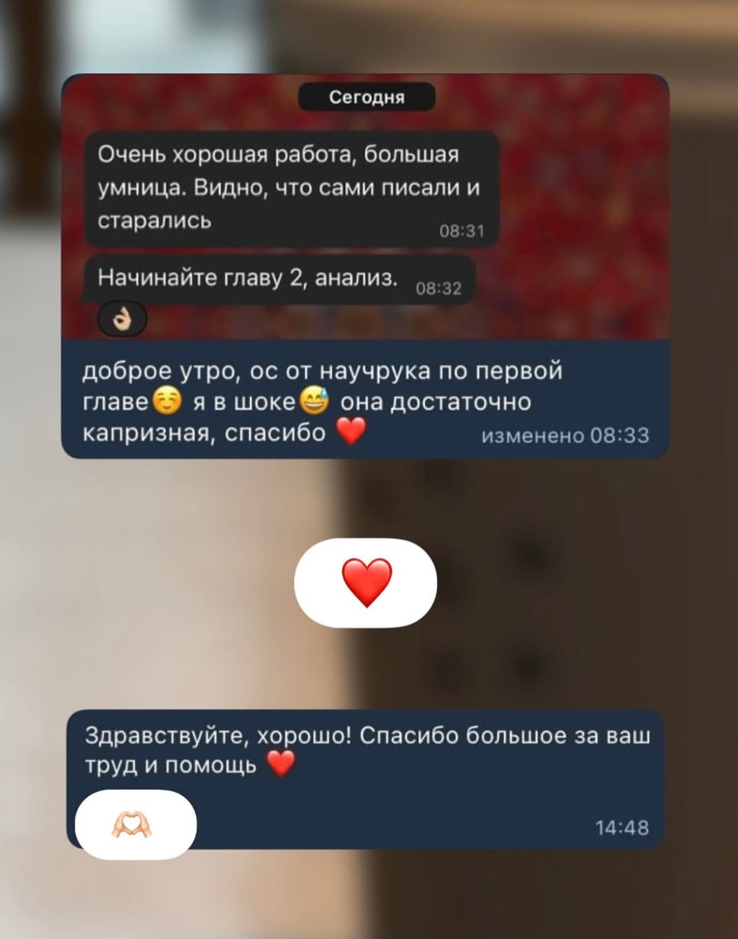 Скриншот переписки: курсовая работа